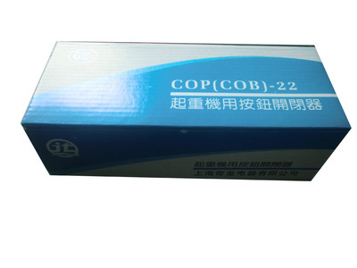 【ROMUON牌 COP-21R 220V 防雨型 起重機吊車按鈕開關(guān)【不帶電容】】價格,廠家,圖片,電工開關(guān),溫州奇璽電器科技-